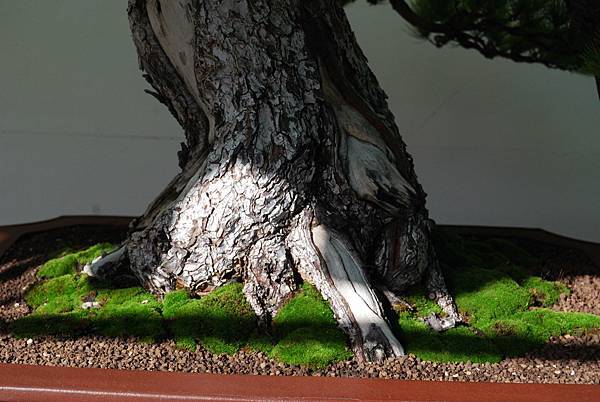 DSC_5980.jpg DSC_5980.jpg