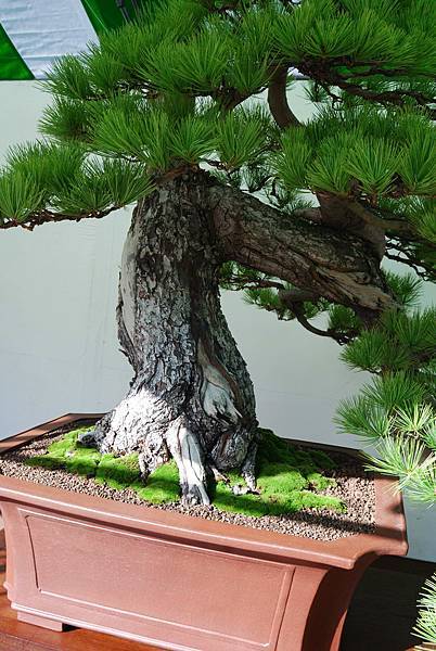 DSC_5982.jpg DSC_5982.jpg