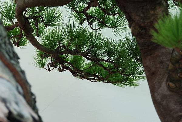 DSC_5987.jpg DSC_5987.jpg