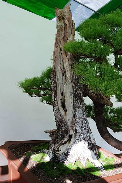 DSC_5988.jpg DSC_5988.jpg