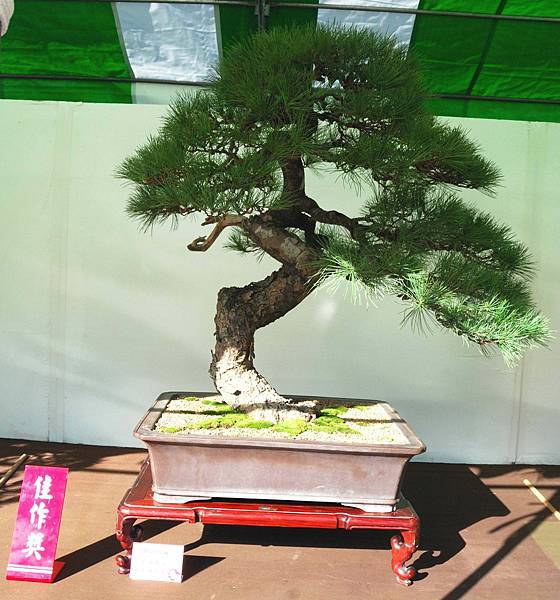 DSC_5989.jpg DSC_5989.jpg