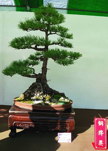 DSC_5991.jpg DSC_5991.jpg