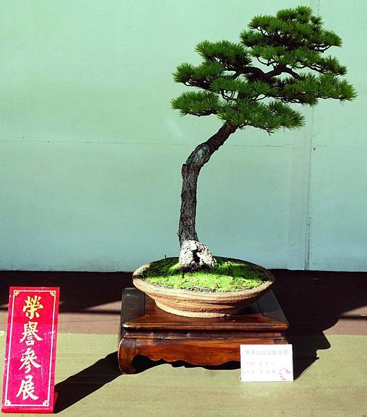 DSC_5996.jpg DSC_5996.jpg