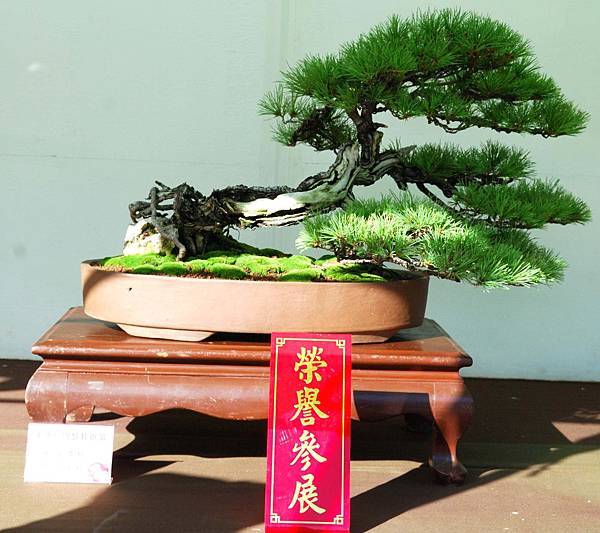 DSC_5994.jpg DSC_5994.jpg