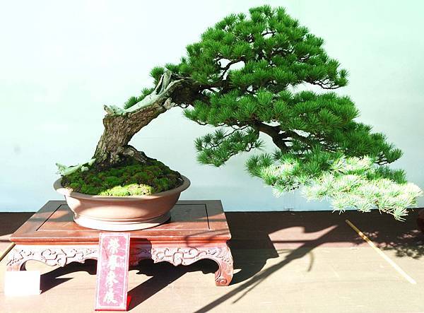 DSC_5998.jpg DSC_5998.jpg