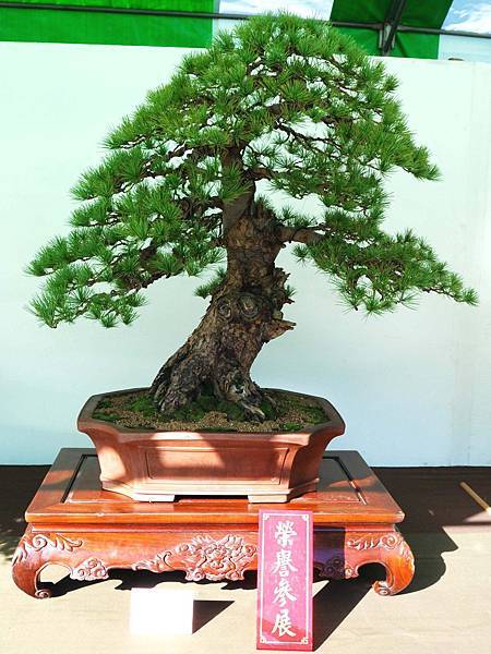 DSC_6000.jpg DSC_6000.jpg