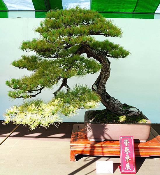 DSC_6002.jpg DSC_6002.jpg