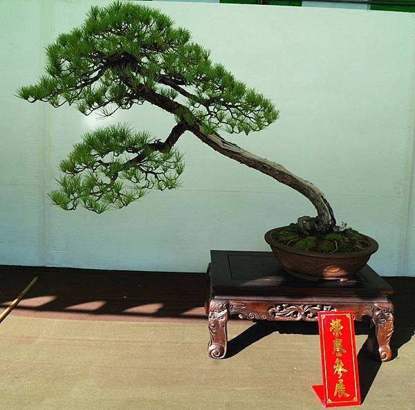 DSC_6004.jpg DSC_6004.jpg