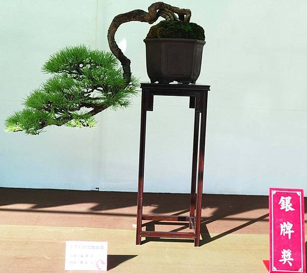 DSC_6010.jpg DSC_6010.jpg