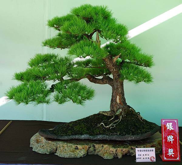 DSC_6014.jpg DSC_6014.jpg