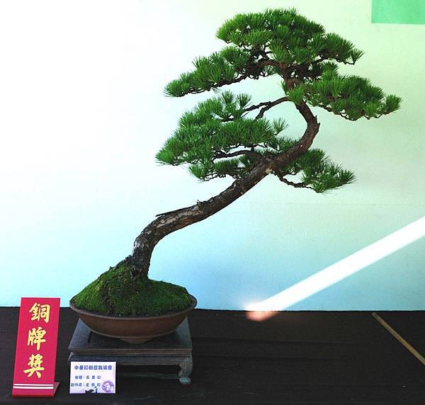 DSC_6012.jpg DSC_6012.jpg