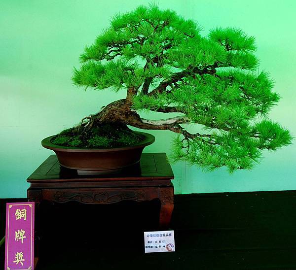 DSC_6018.jpg DSC_6018.jpg