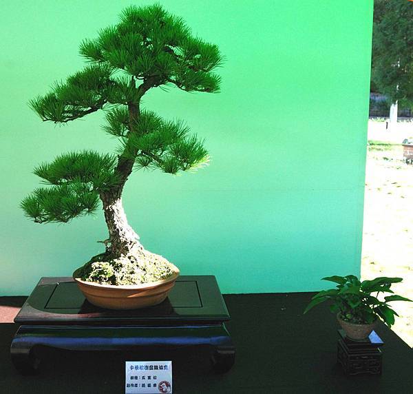 DSC_6022.jpg DSC_6022.jpg