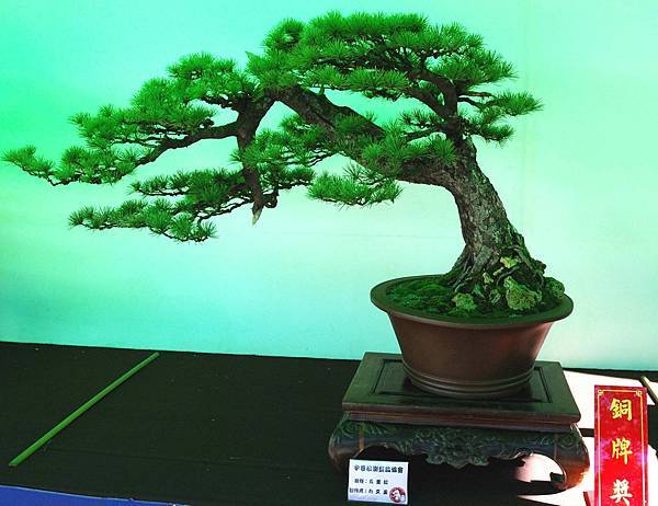 DSC_6020.jpg DSC_6020.jpg