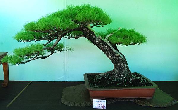 DSC_6026.jpg DSC_6026.jpg