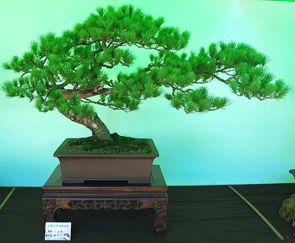 DSC_6028.jpg DSC_6028.jpg