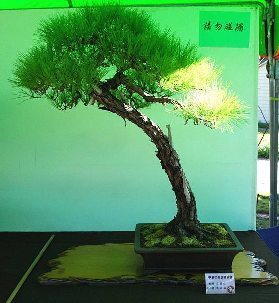 DSC_6032.jpg DSC_6032.jpg