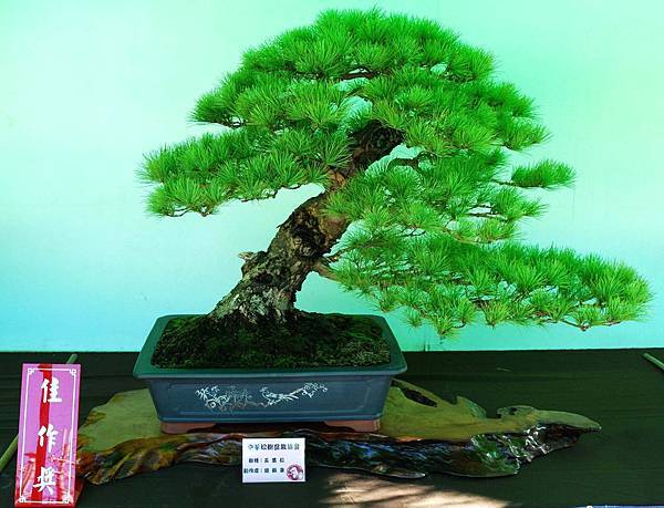 DSC_6030.jpg DSC_6030.jpg