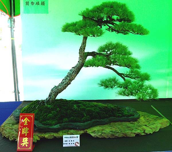 DSC_6034.jpg DSC_6034.jpg