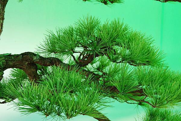 DSC_6040.jpg DSC_6040.jpg