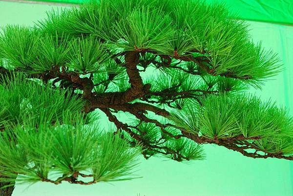 DSC_6041.jpg DSC_6041.jpg