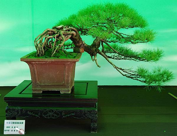 DSC_6043.jpg DSC_6043.jpg