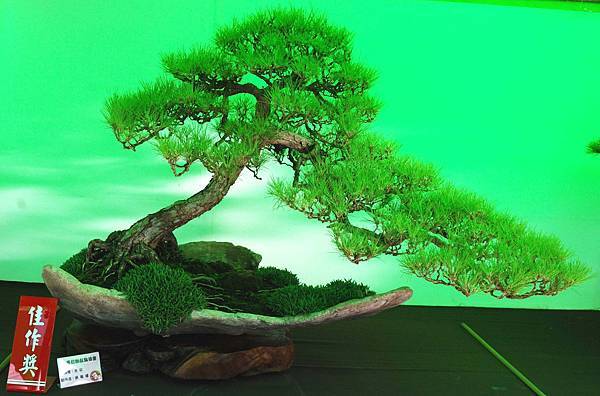 DSC_6045.jpg DSC_6045.jpg