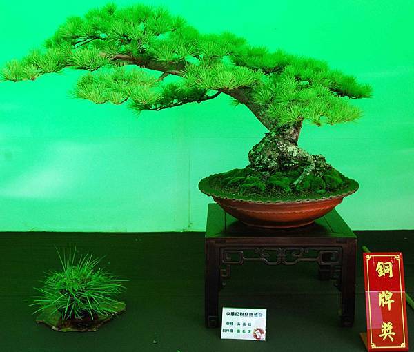 DSC_6047.jpg DSC_6047.jpg