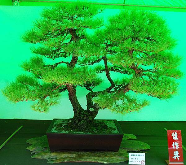 DSC_6049.jpg DSC_6049.jpg