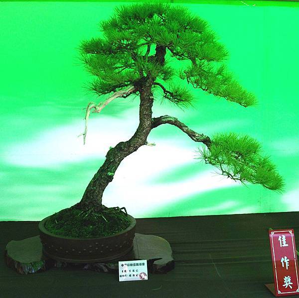 DSC_6053.jpg DSC_6053.jpg