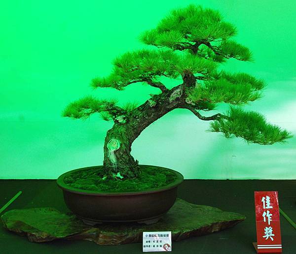 DSC_6051.jpg DSC_6051.jpg