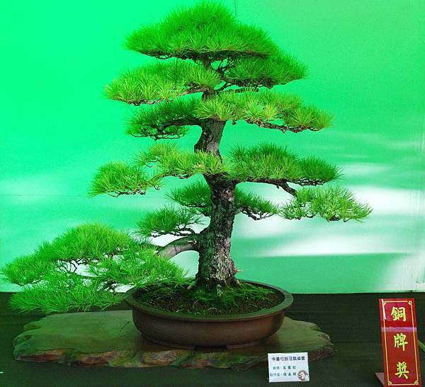 DSC_6055.jpg DSC_6055.jpg