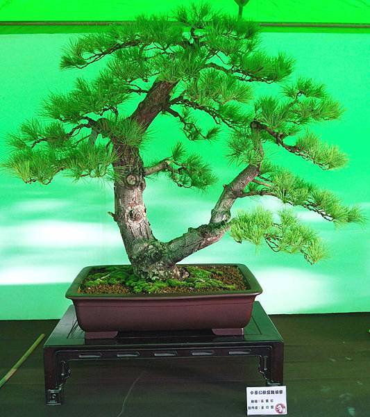 DSC_6057.jpg DSC_6057.jpg