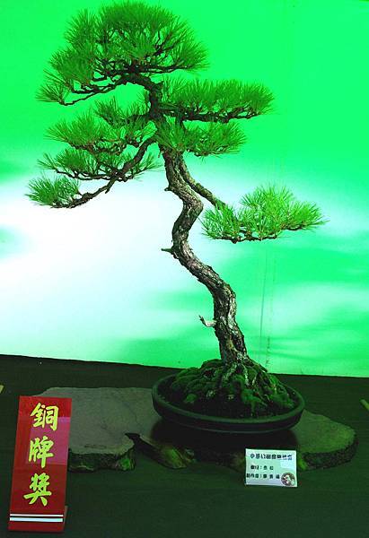 DSC_6061.jpg DSC_6061.jpg