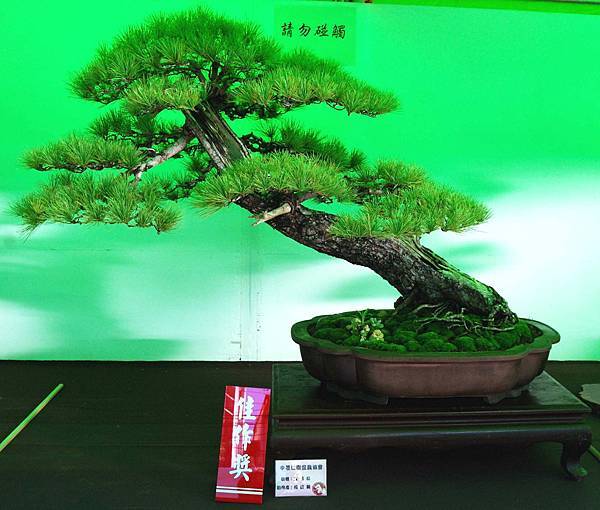 DSC_6059.jpg DSC_6059.jpg