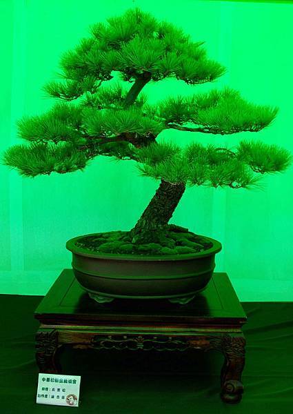 DSC_6067.jpg DSC_6067.jpg