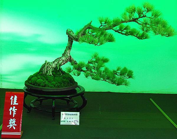 DSC_6063.jpg DSC_6063.jpg