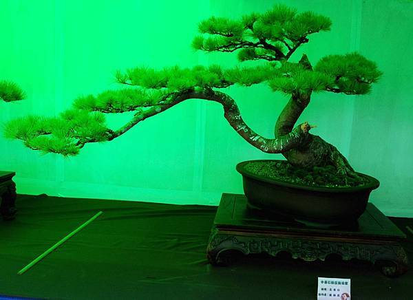 DSC_6069.jpg DSC_6069.jpg