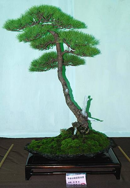 DSC_6073.jpg DSC_6073.jpg