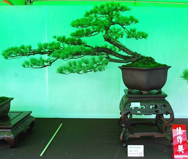 DSC_6082.jpg DSC_6082.jpg