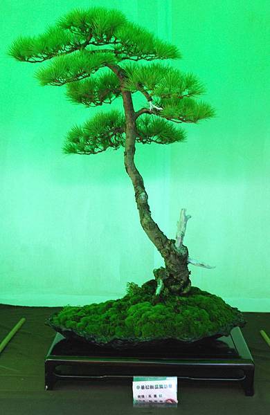 DSC_6080.jpg DSC_6080.jpg