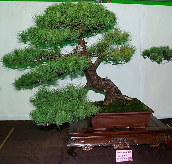 DSC_6075.jpg DSC_6075.jpg