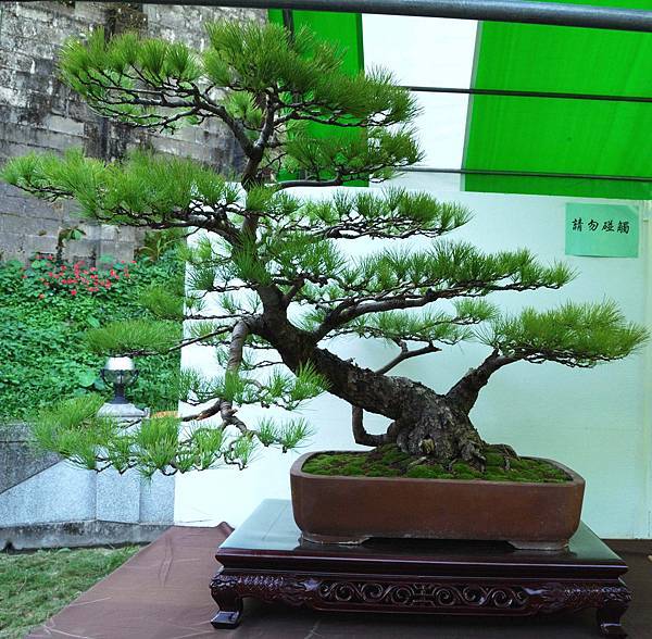 DSC_6088.jpg DSC_6088.jpg