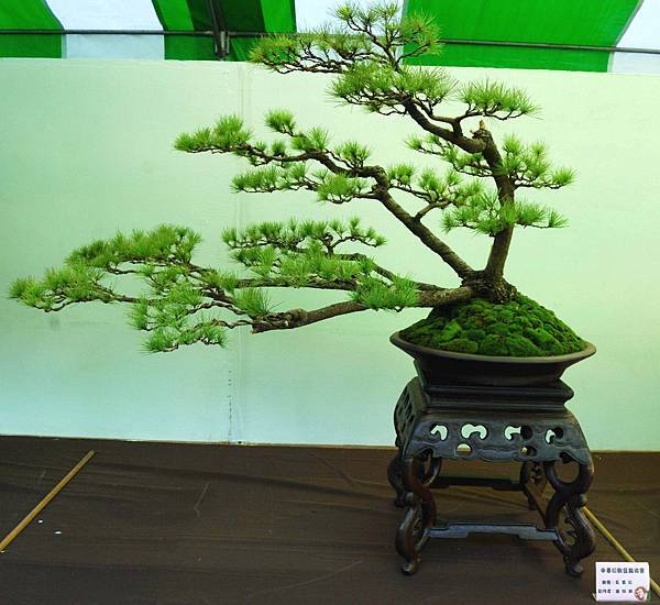 DSC_6092.jpg DSC_6092.jpg