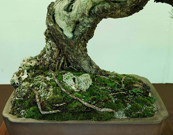 DSC_6098.jpg DSC_6098.jpg