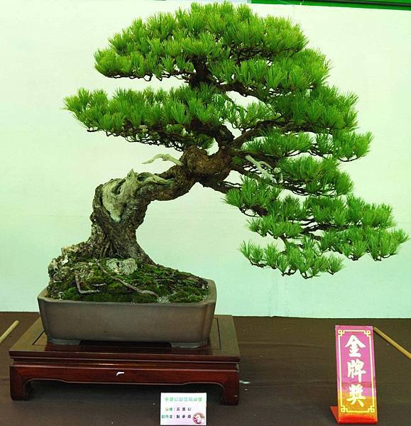 DSC_6096.jpg DSC_6096.jpg