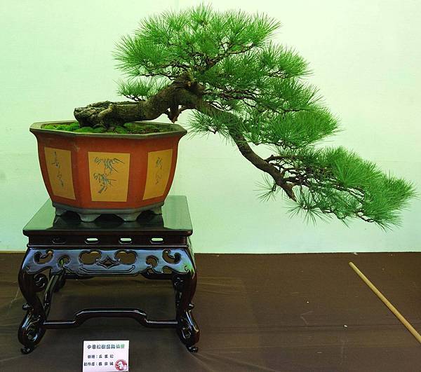 DSC_6094.jpg DSC_6094.jpg