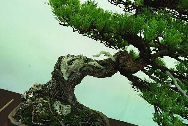 DSC_6099.jpg DSC_6099.jpg