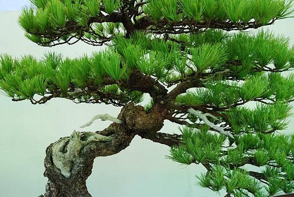 DSC_6100.jpg DSC_6100.jpg