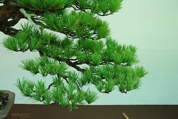 DSC_6102.jpg DSC_6102.jpg